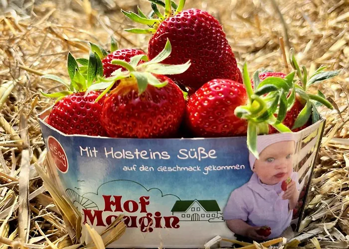 Hof Mougin - 1 *